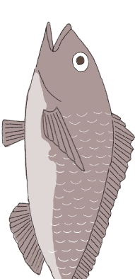 魚2