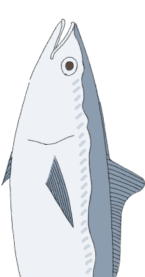  魚3