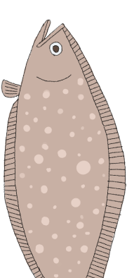  魚4